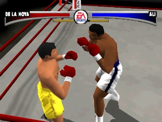 Knockout Kings background