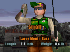 Bass Rise background